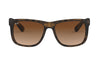Ray-Ban RB 4165 710/13 Men Sunglasses Tortoise Brown