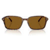 RAYBAN RB2231 141833 56 - Sheet full Rayban Brown Square