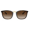 Ray-Ban RB 4409I 710/13 Unisex Sunglasses Tortoise