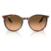 RAYBAN RB2204 14293B 54 - Sheet full Rayban Havana Ladies