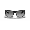 RAYBAN RB4165 622/T3 55 - Sheet full Rayban Black Square