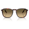 RAYBAN RB2203 14290A 55 - Sheet full Rayban Havana Ladies