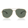 Ray-Ban RB3683 001/31 Unisex Sunglasses GOLD