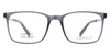 TOMMY HILFIGER TH2616 C5 Women Sunglasses BLACK