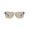 EMPORIO ARMANI EA 4197 5099/3 Men Sunglasses Striped Brown