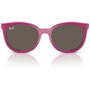 RAYBAN RB1631C 3933/3 45 - Sheet full Rayban Pink Square