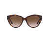 EMPORIO ARMANI EA 4178 5879/13