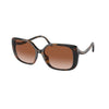COACH HC 8376U 512013 Women Sunglasses Dark Tortoise