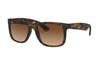 Ray-Ban RB 4165 710/13 Men Sunglasses Tortoise Brown