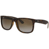 RAYBAN RB4165 865/T5 - Sheet full Rayban Brown Square