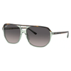 RAYBAN RB 2205 1376/M3 Unisex Sunglasses Havana On Transparent Green