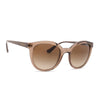VOGUE VO 5427-S 294013 Women Sunglasses Transparent Brown
