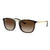 Ray-Ban RB 4409I 710/13 Unisex Sunglasses Tortoise