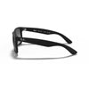 RAYBAN RB4165 622/T3 55 - Sheet full Rayban Black Square