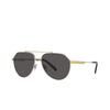 DOLCE&GABBANA DG 2288 1313/87 Unisex Sunglasses Silver Gold