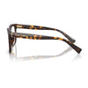 DOLCE & GABBANA DG3422 502 53 - Sheet full DOLCE&GABBANA Havana Square