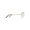 TOMMY HILFIGER TH 837 C1 Unisex Sunglasses GOLD