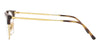 Ray-Ban RB7216 2012 Unisex Optical Frame Havana on Arista