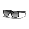 RAYBAN RB4165 622/T3 55 - Sheet full Rayban Black Square