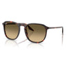 RAYBAN RB2203 14290A 55 - Sheet full Rayban Havana Ladies