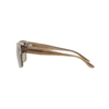 EMPORIO ARMANI EA 4197 5099/3 Men Sunglasses Striped Brown