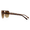 RAYBAN RB 2205 1292/M2 Unisex Sunglasses Havana On Transparent Brown