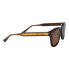 GUCCI GG0910S 003 Men Sunglass BROWN
