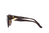 EMPORIO ARMANI EA 4178 5879/13