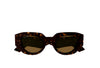 GUCCI GG 1421S 002 - Sheet full Gucci Brown Ladies