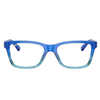 RAYBAN RB1536 3731