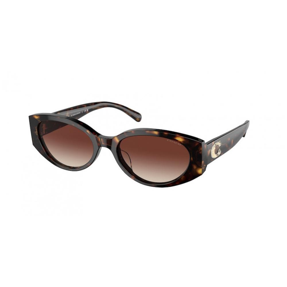 COACH HC 8353U 512013 Women Sunglasses DARK TORTOISE – mittaloptics