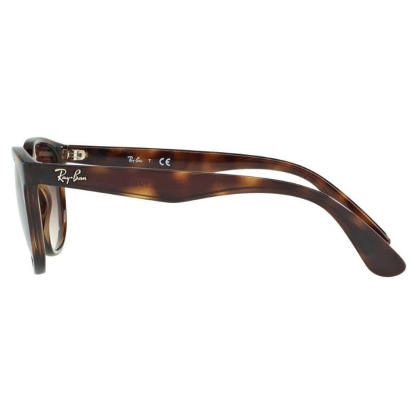 RAYBAN RB4252I 710/13 - Sheet full Rayban Brown Round - Image 3